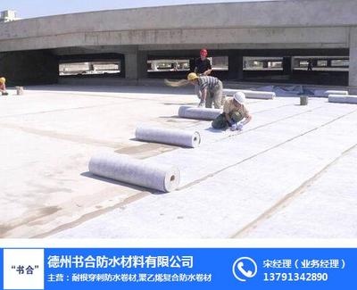 耐根穿刺防水卷材在防水工程中的應(yīng)用與施工要點